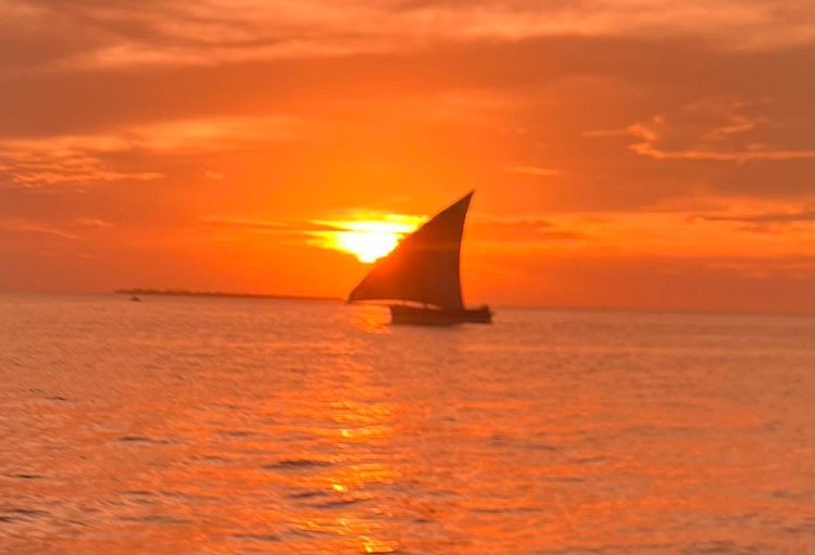 Madagascar to Zanzibar - Photo 7
