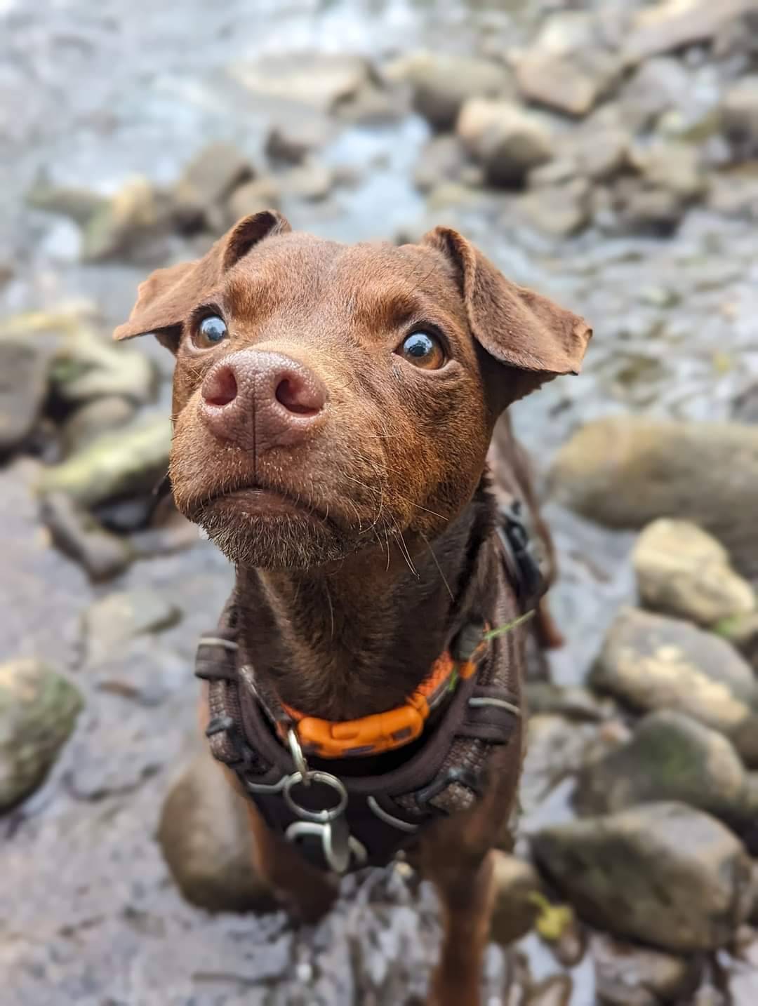 First Mate Kelly