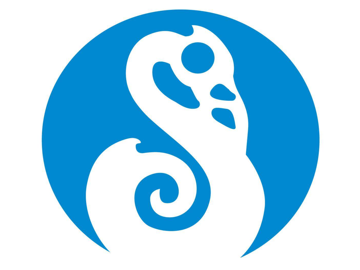 Maritime New Zealand qualification image