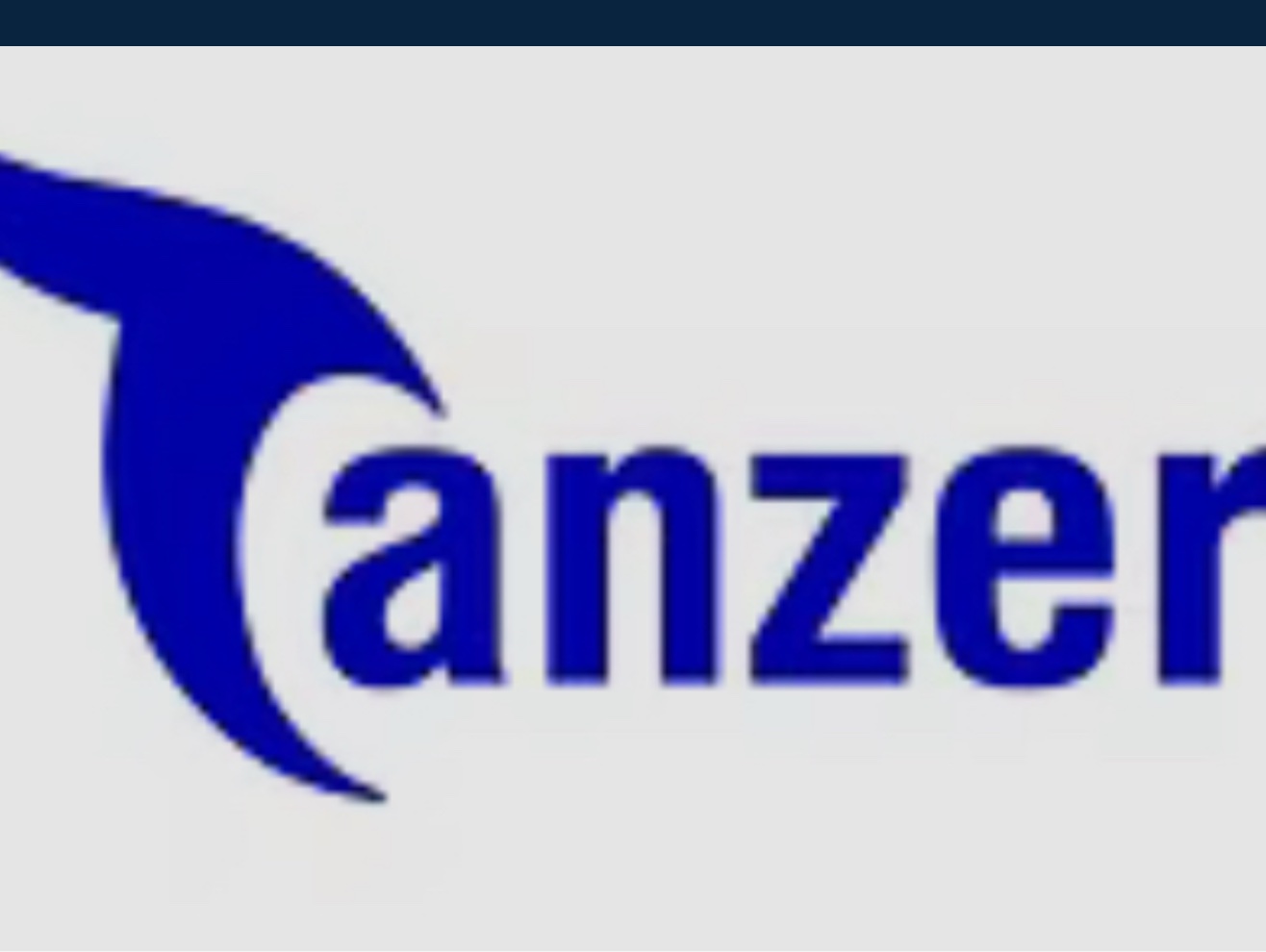 Tanzer