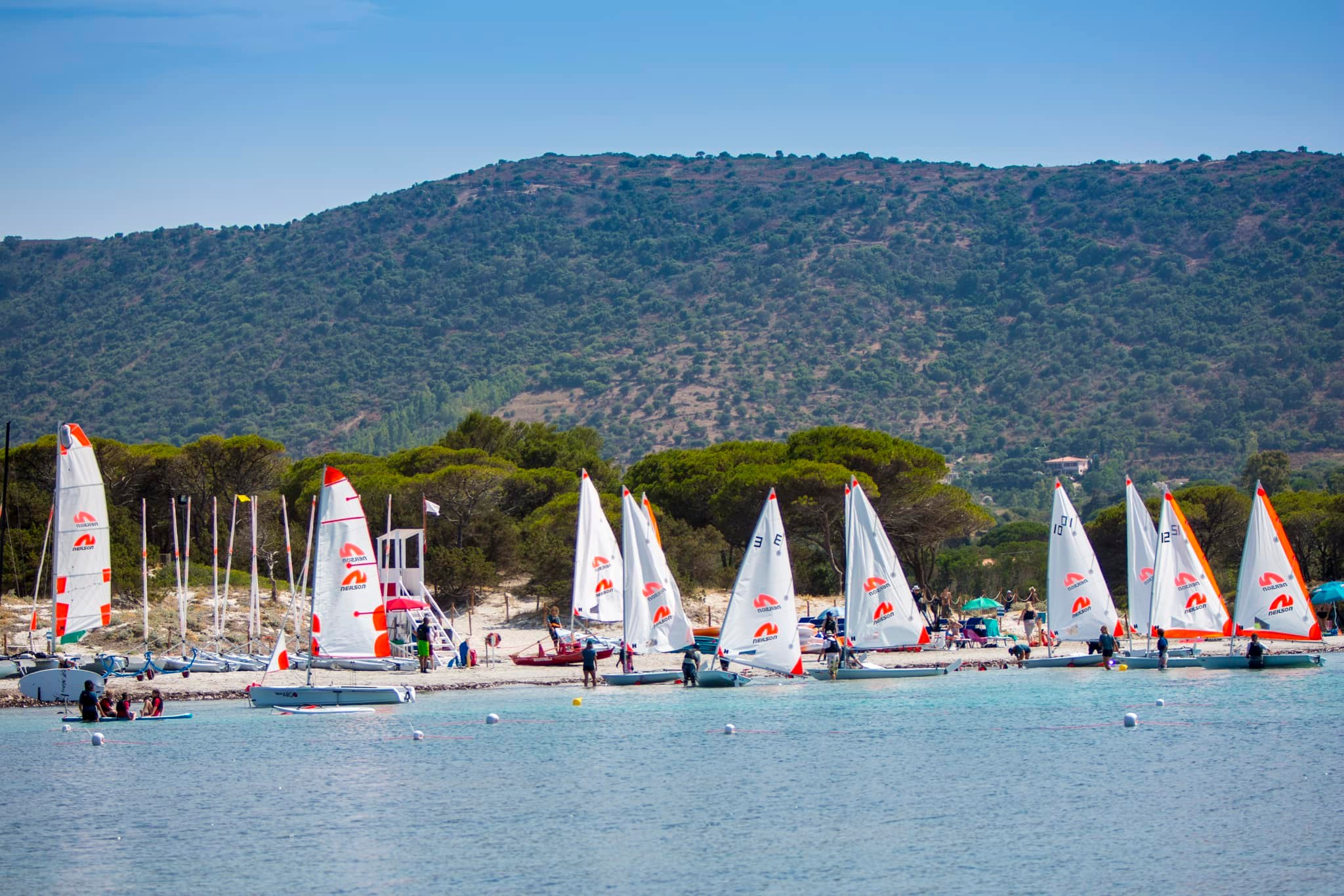 Neilson Sailing