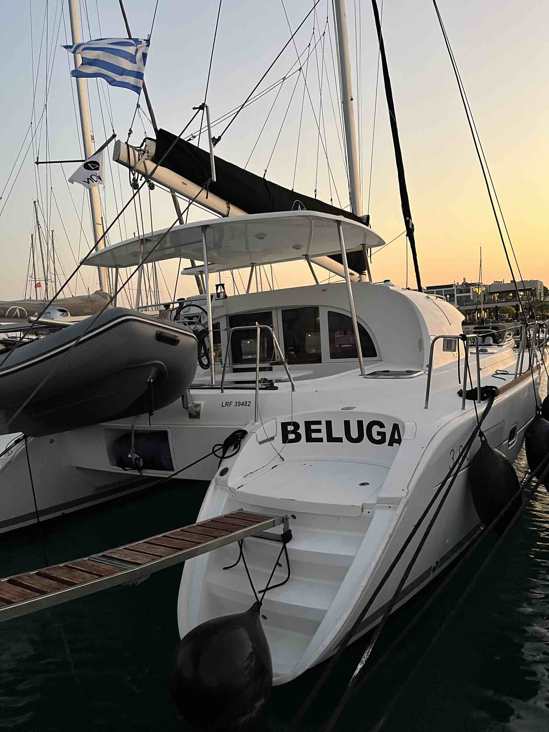 BELUGA