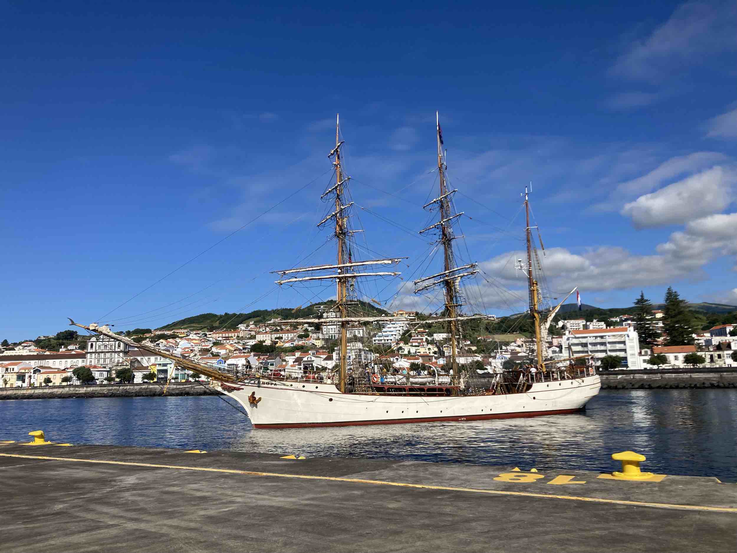 Bark Europa