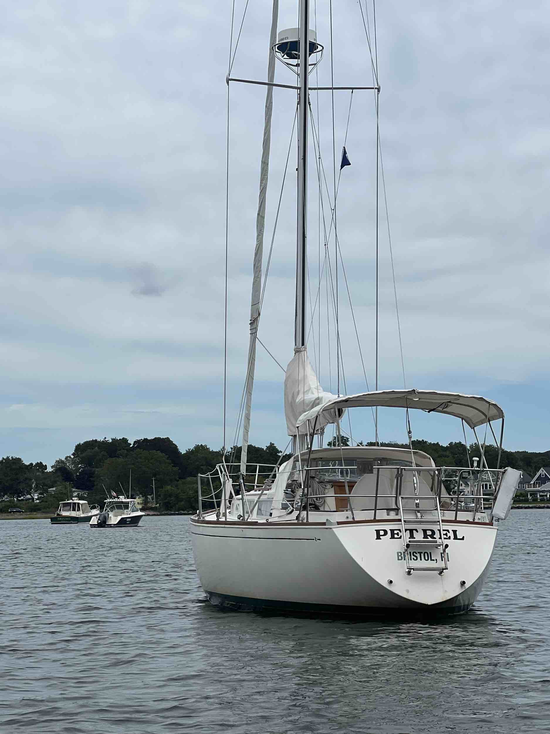 Petrel