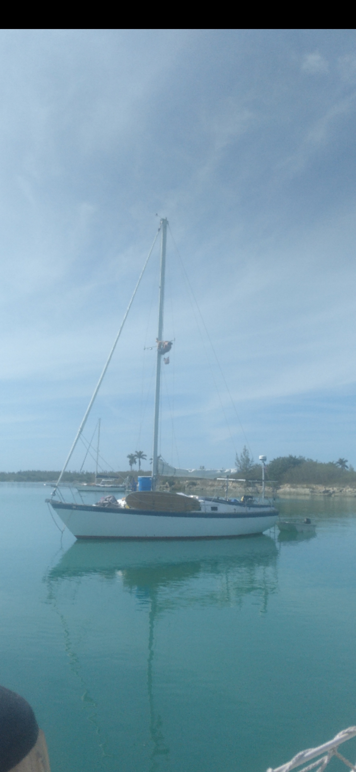 SV Annie