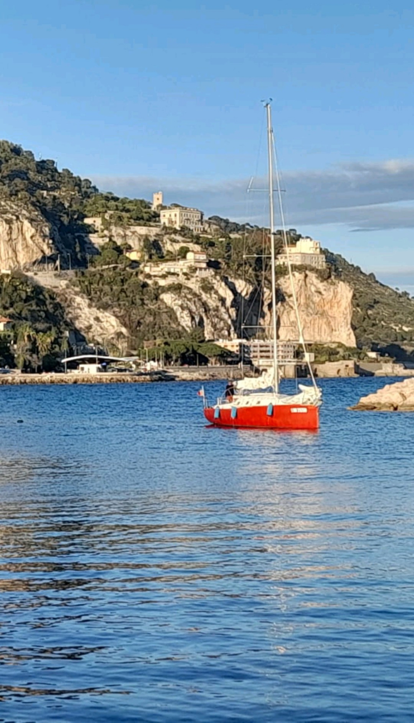 Cigale