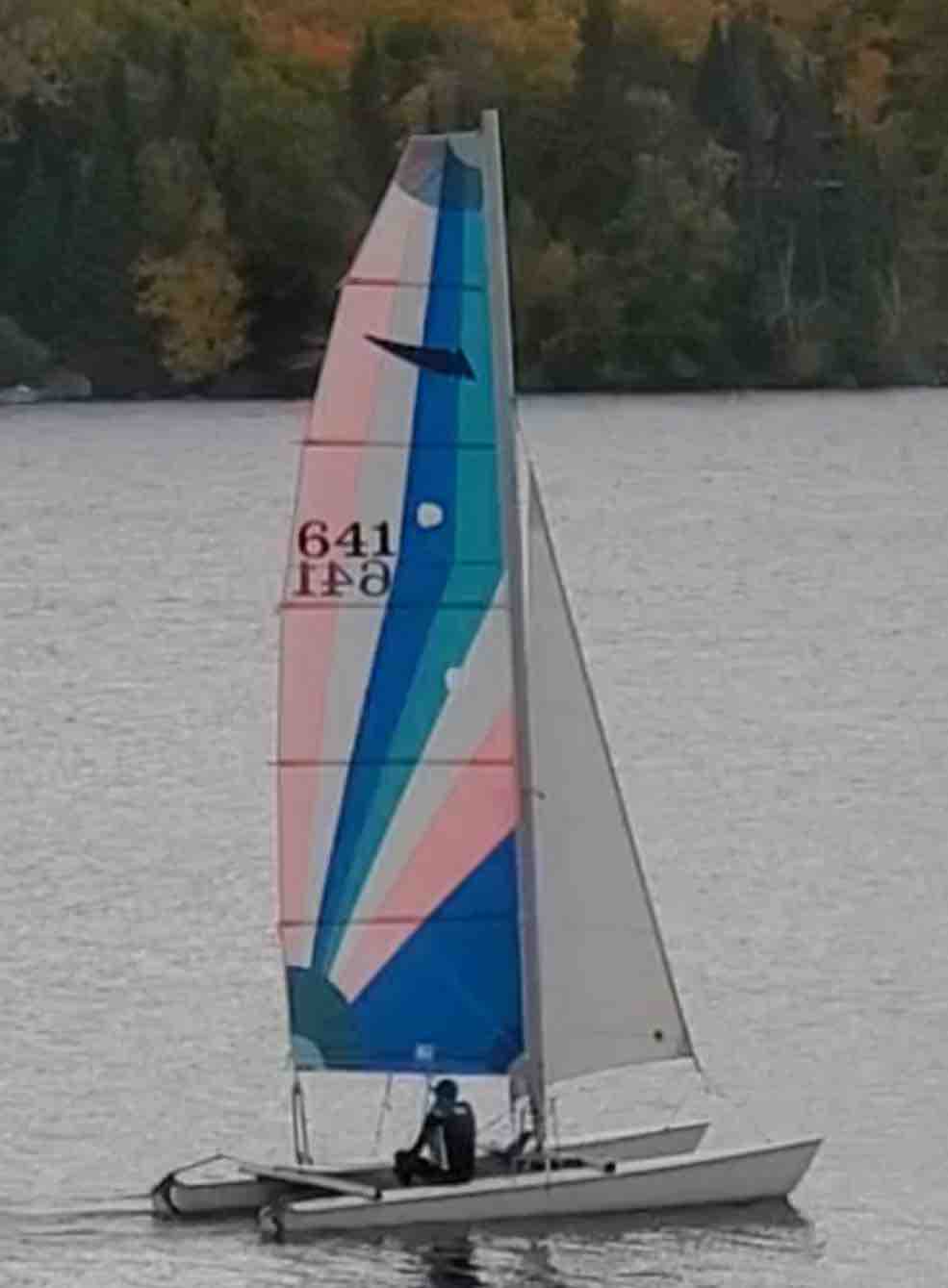 L’hirondelle 