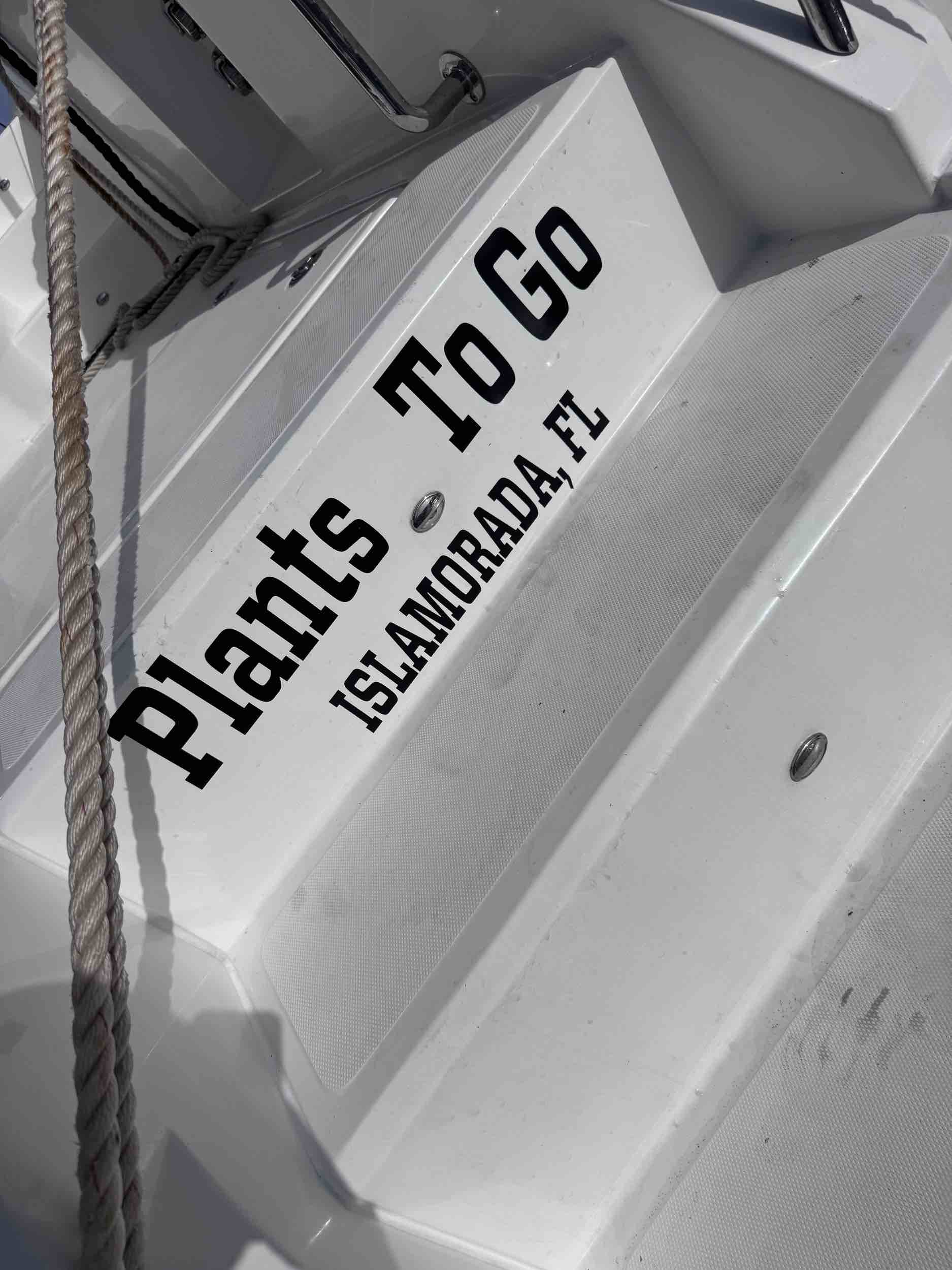 Plants To Go