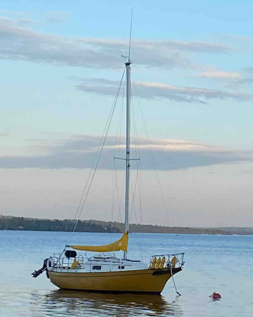 La Rêveuse