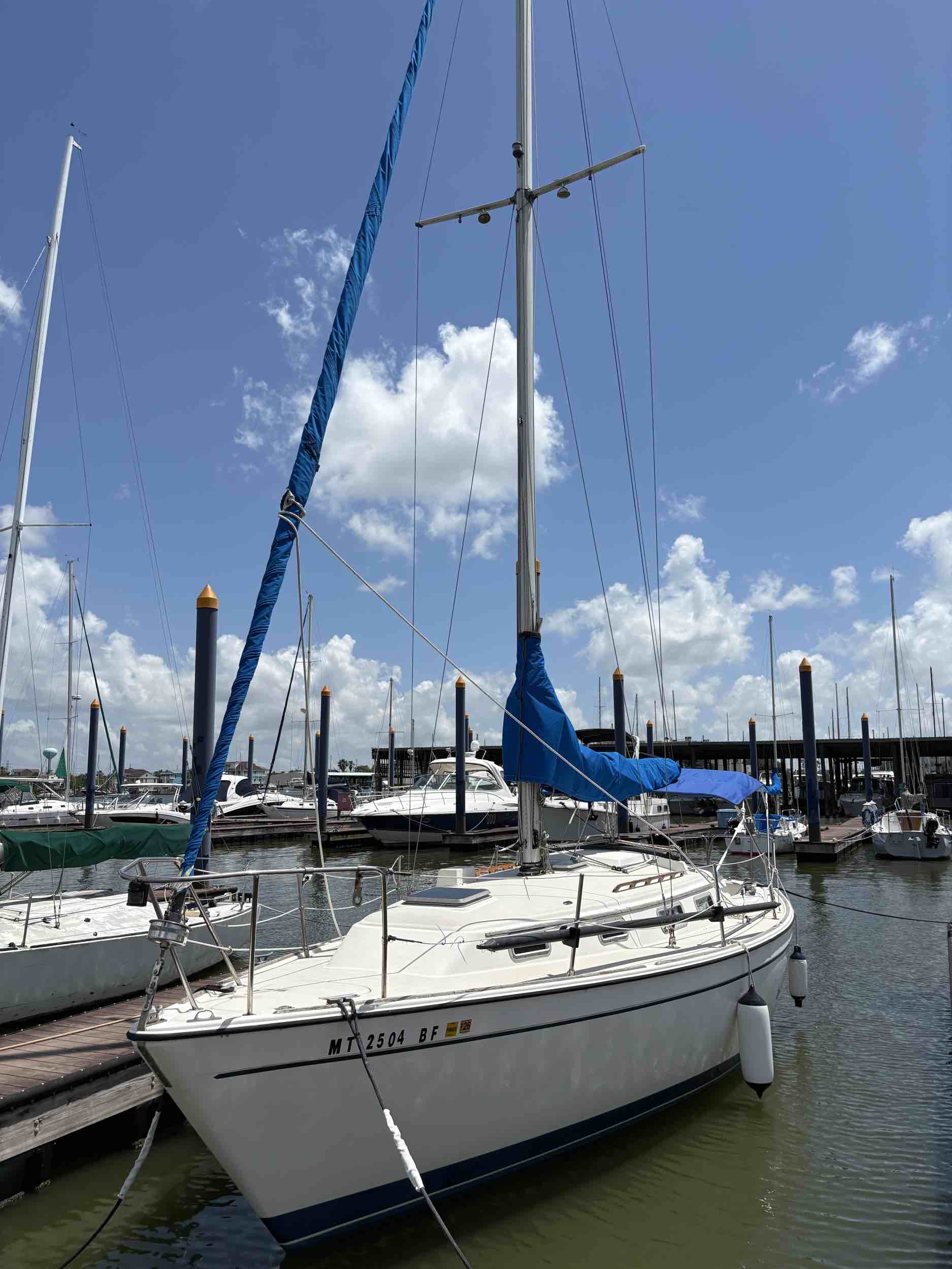 Sea Bean
