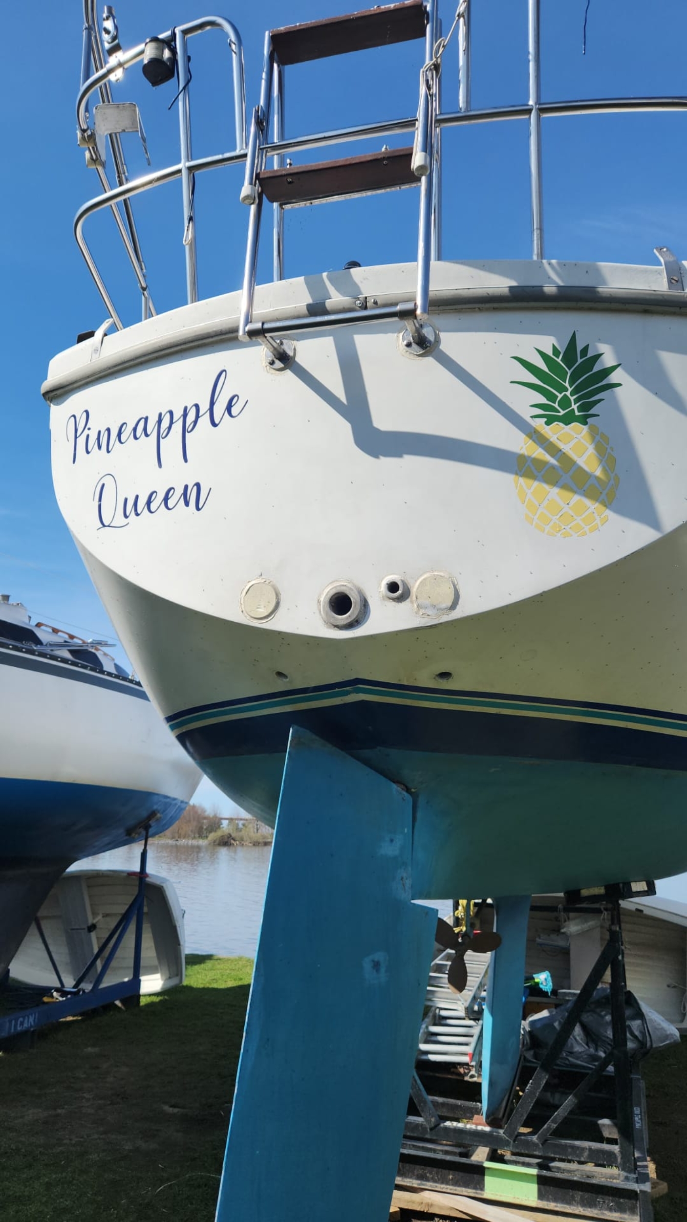 Pineapple Queen