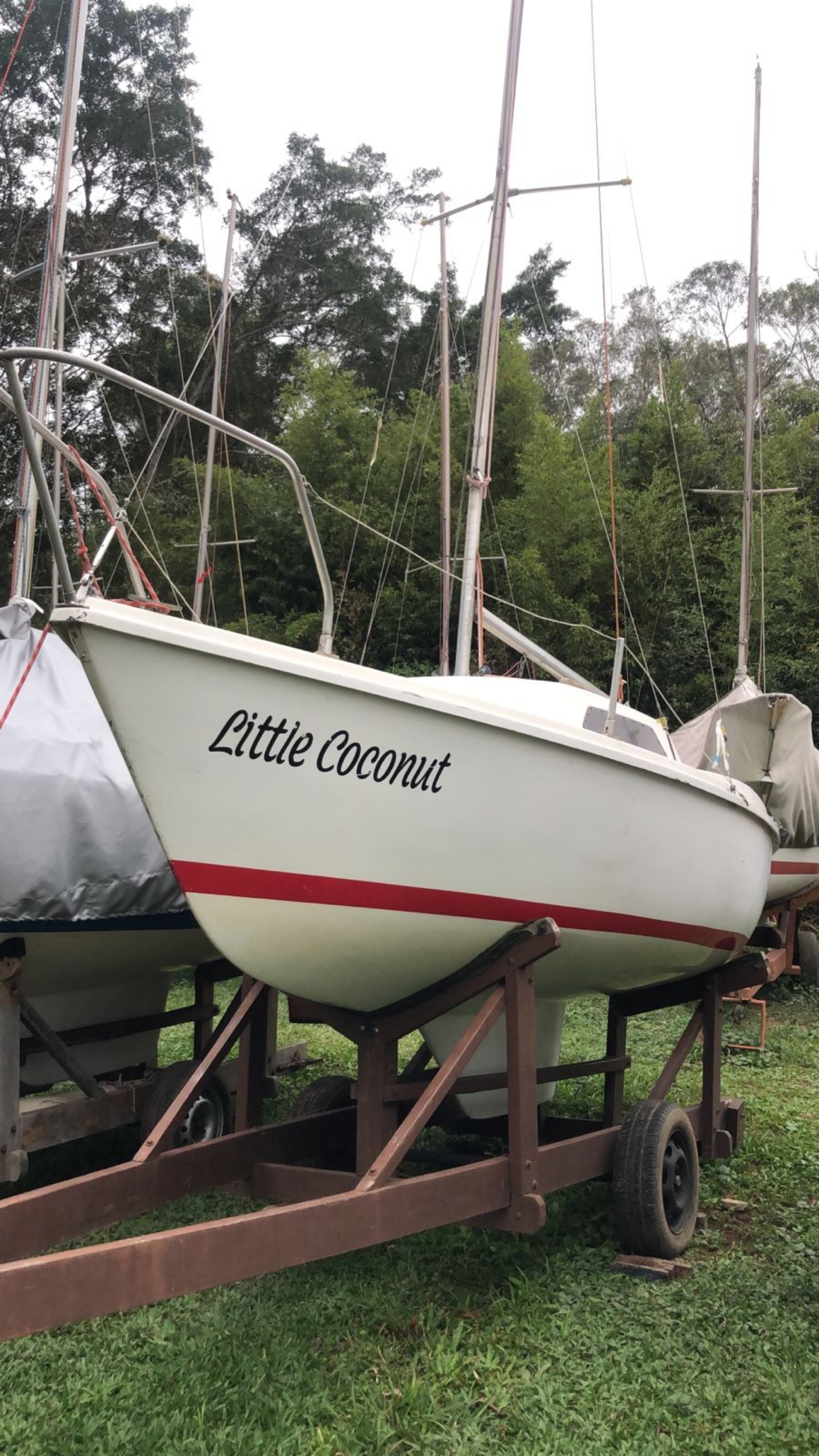 Little Coconut