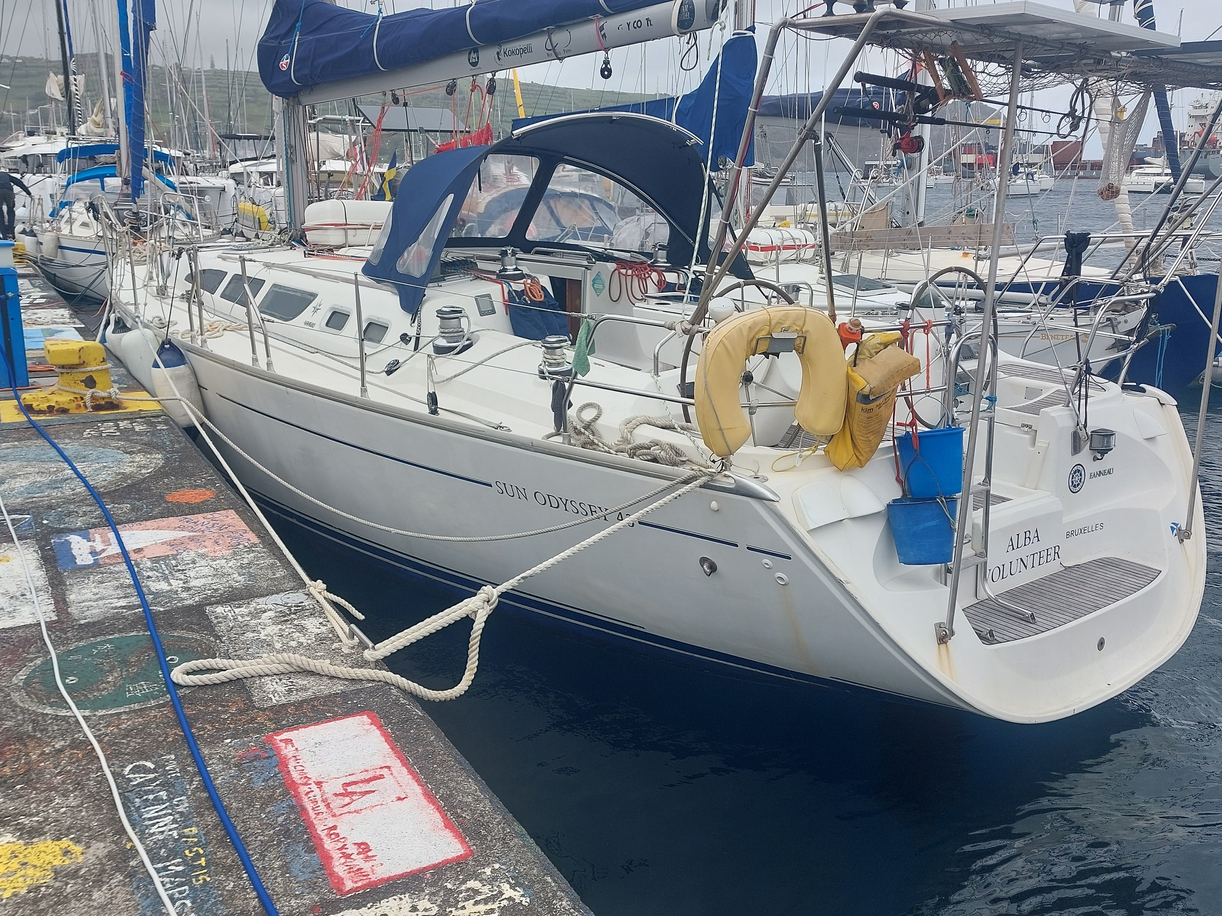 Alba volunteer