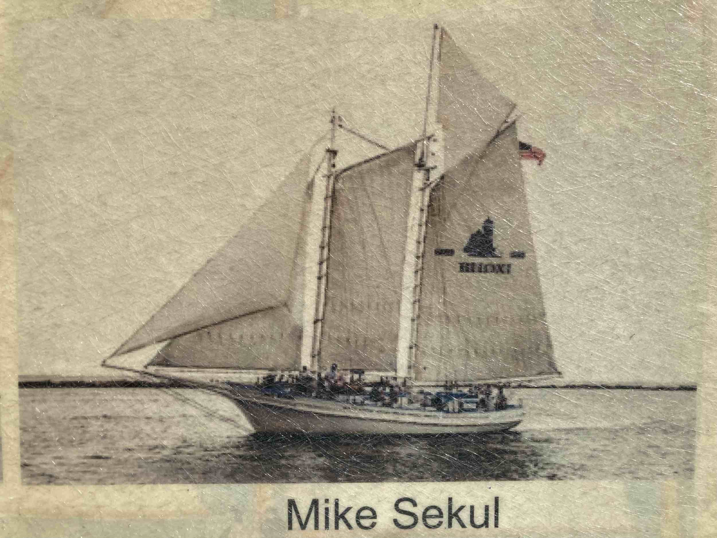 Mike Sekul