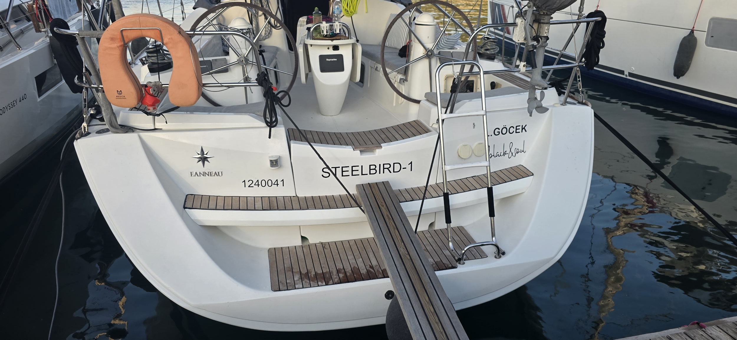 StellBird1