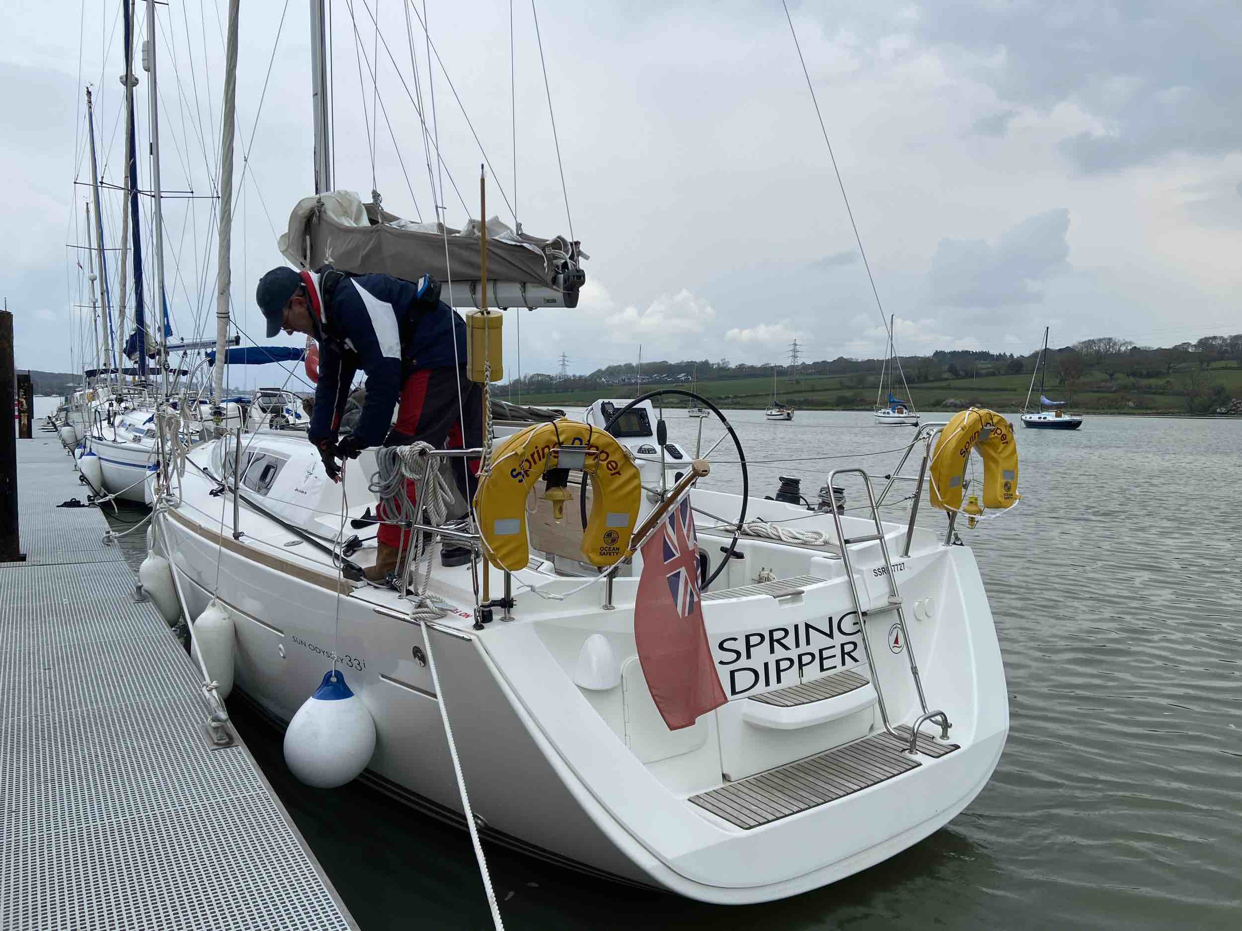 Springdipper