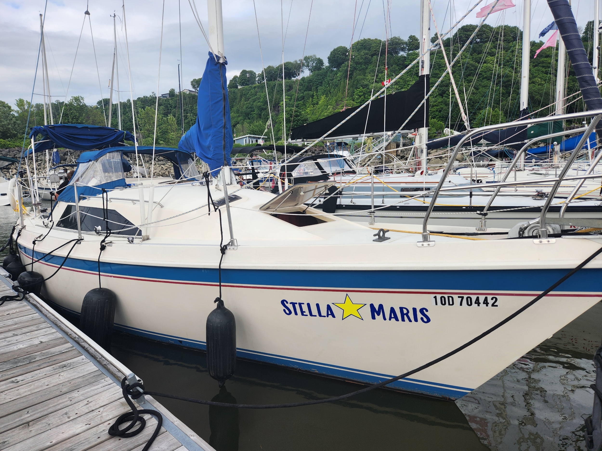 Stella Maris