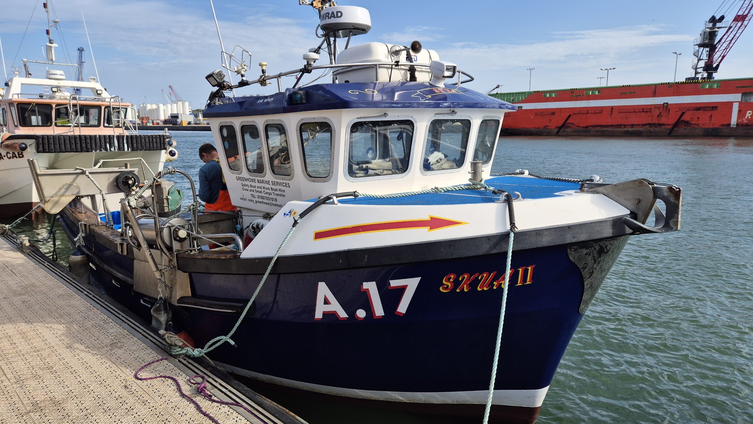 SKUA II