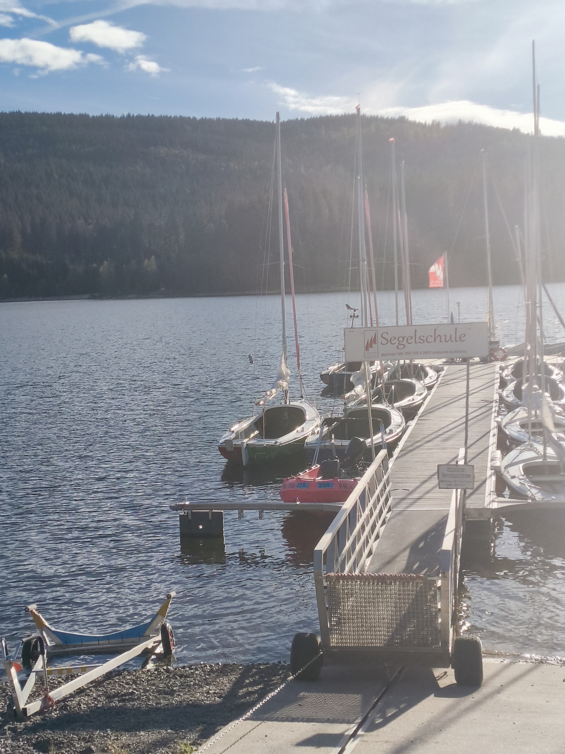 Eismöve