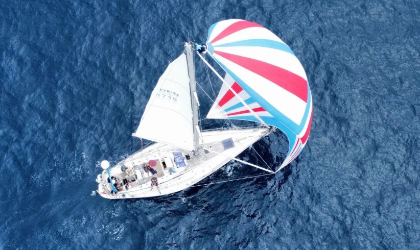 Saga47swan