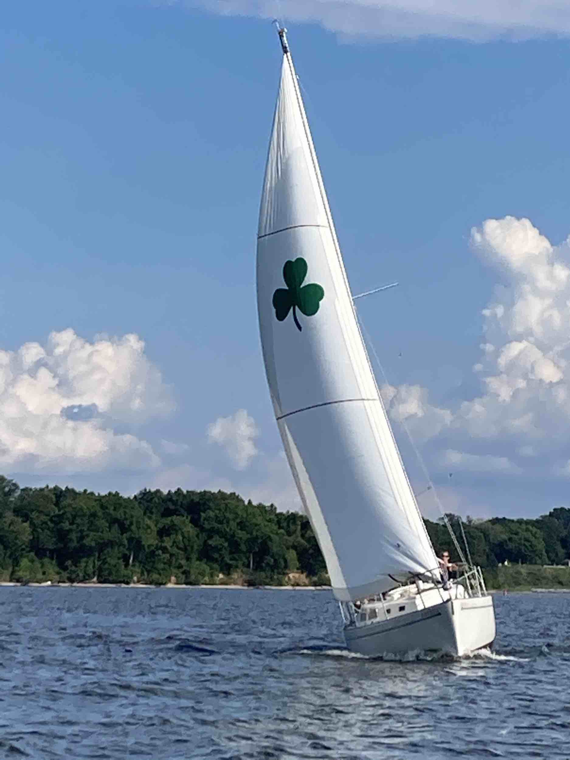 Stella ☘️