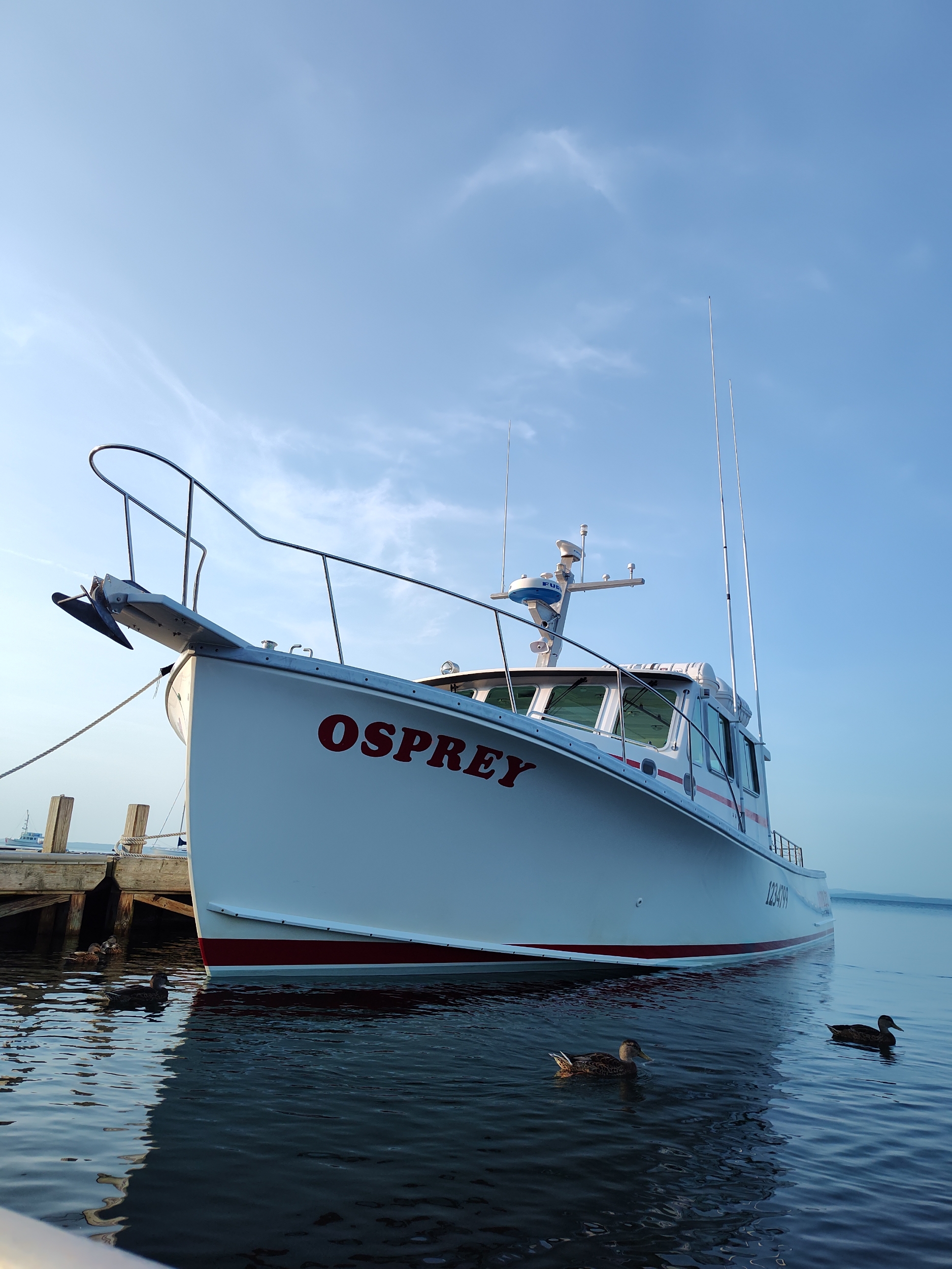 MV Osprey