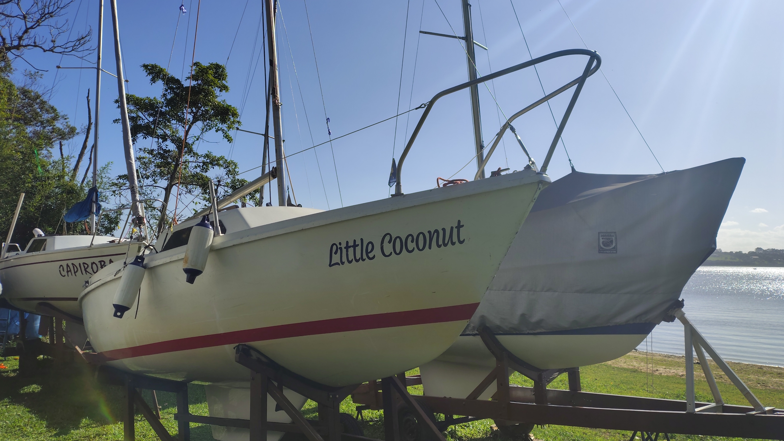 Little Coconut