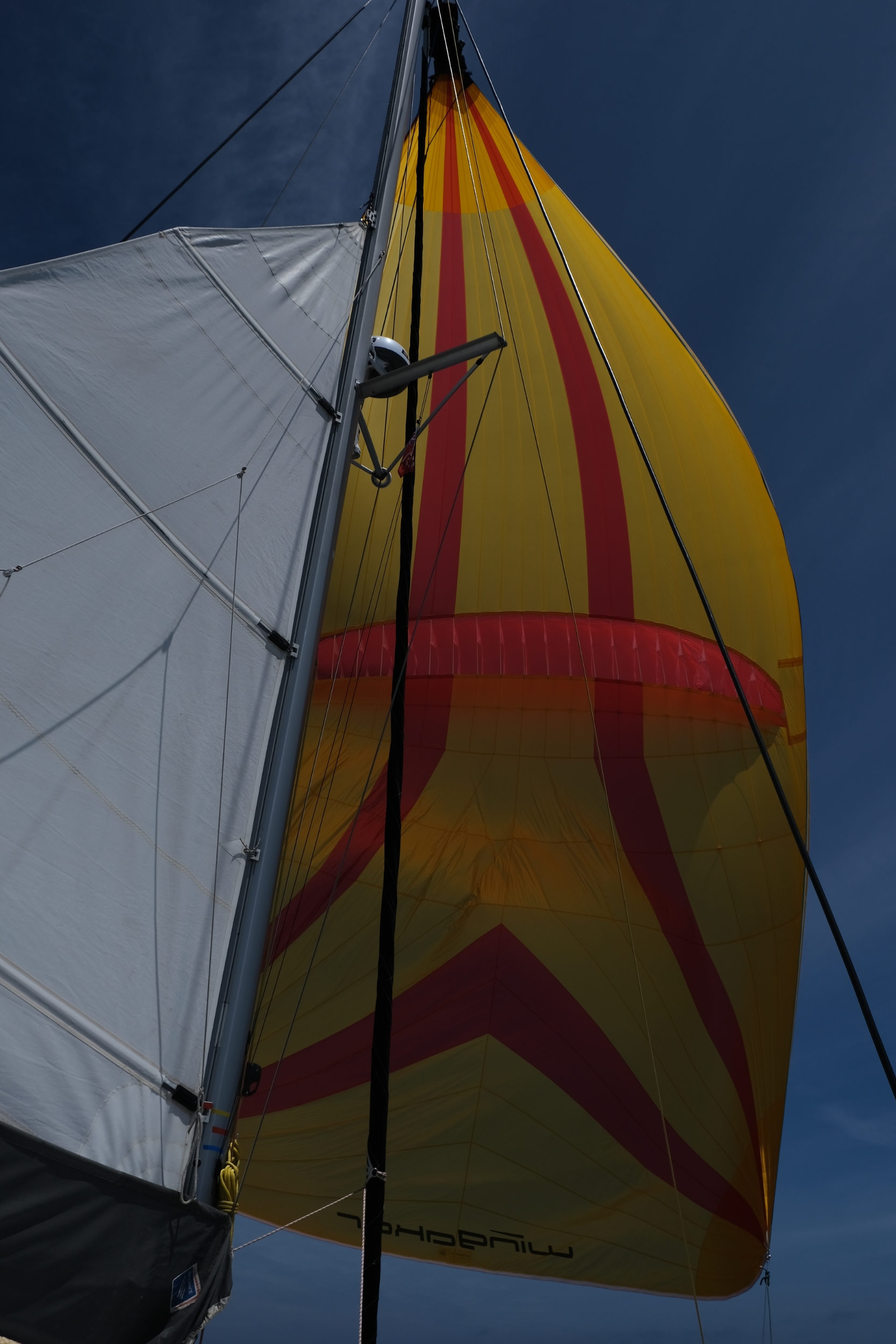 Mare Calypso