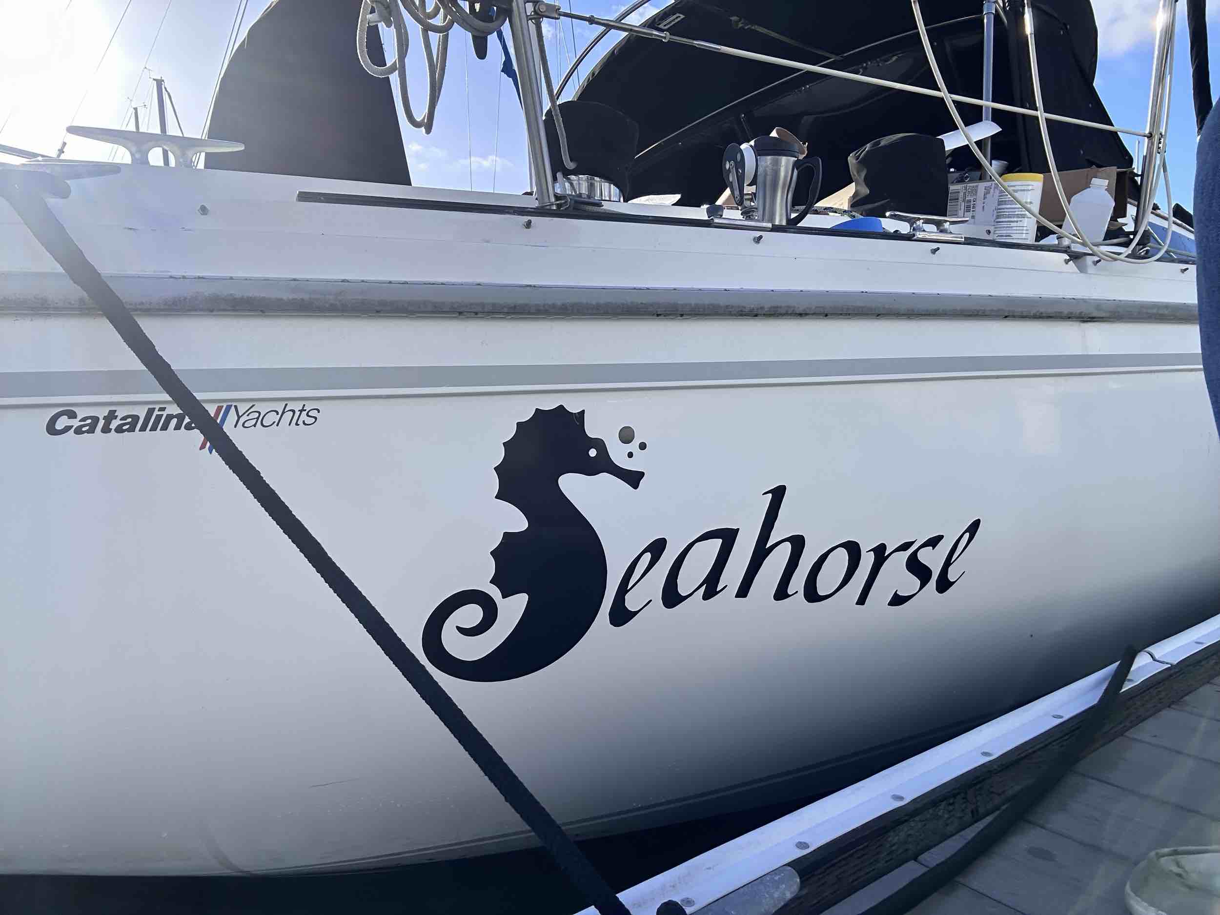 Seahorse