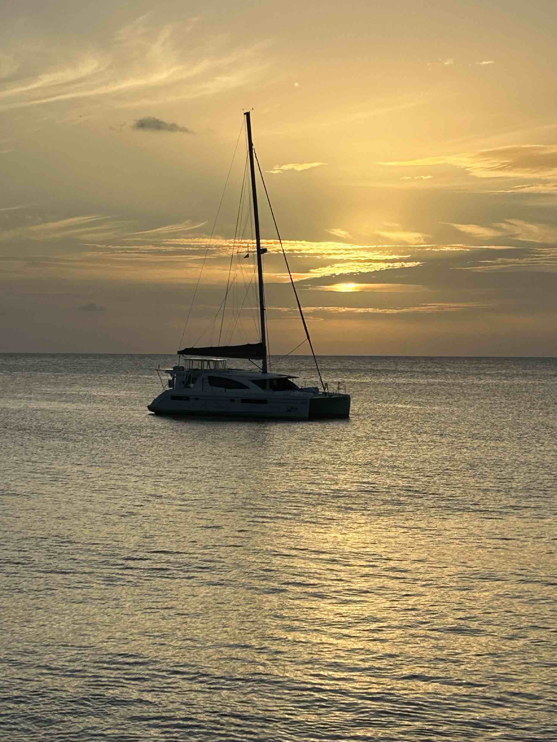 Calypso leopard 48