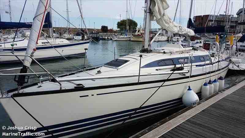 Ilex of Upnor