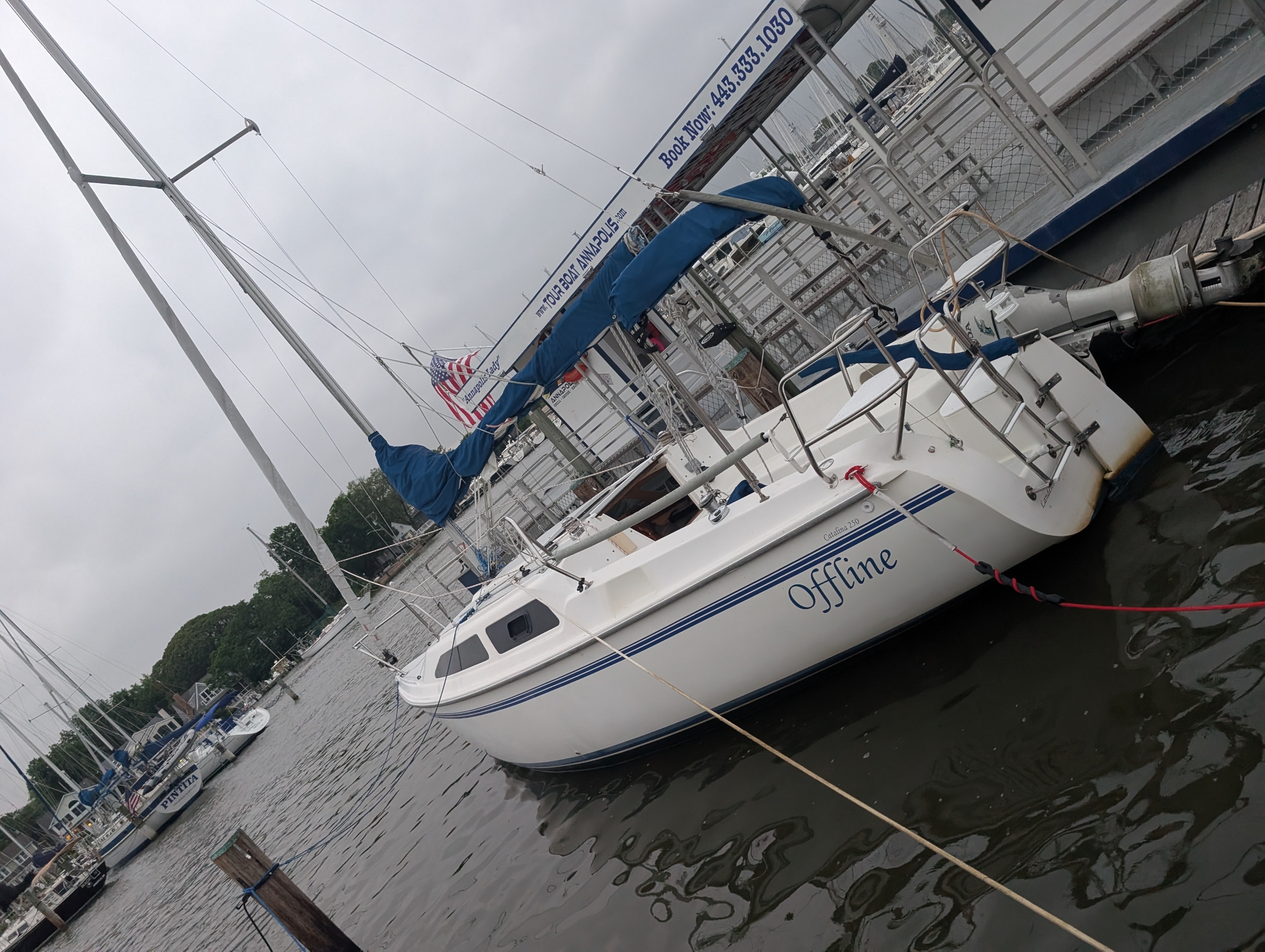 Calypso
