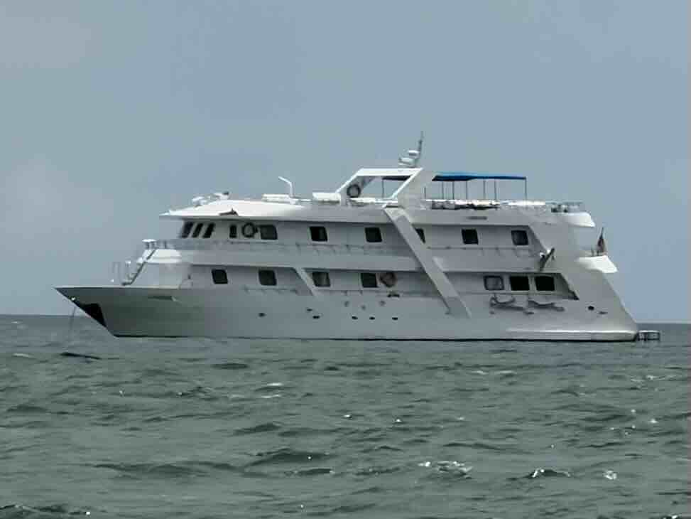 M/Y Carina