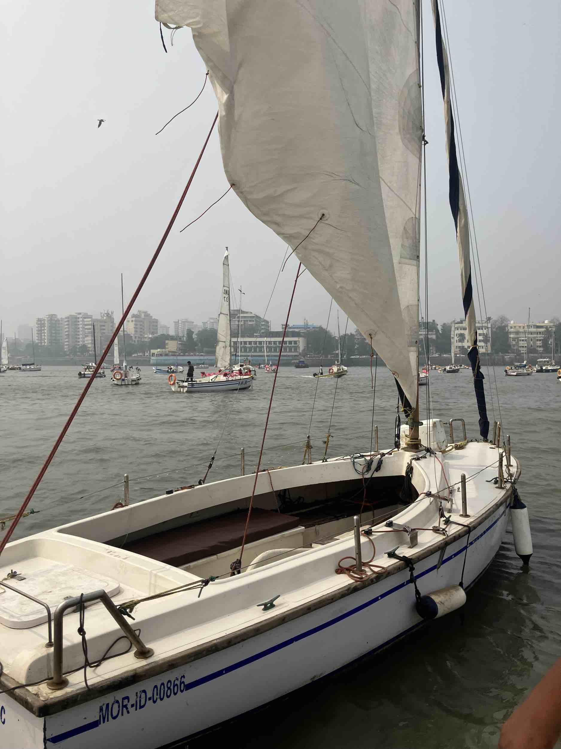 Sea Bird Mark 3