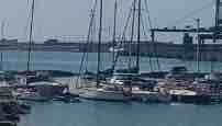 Dolphin 37