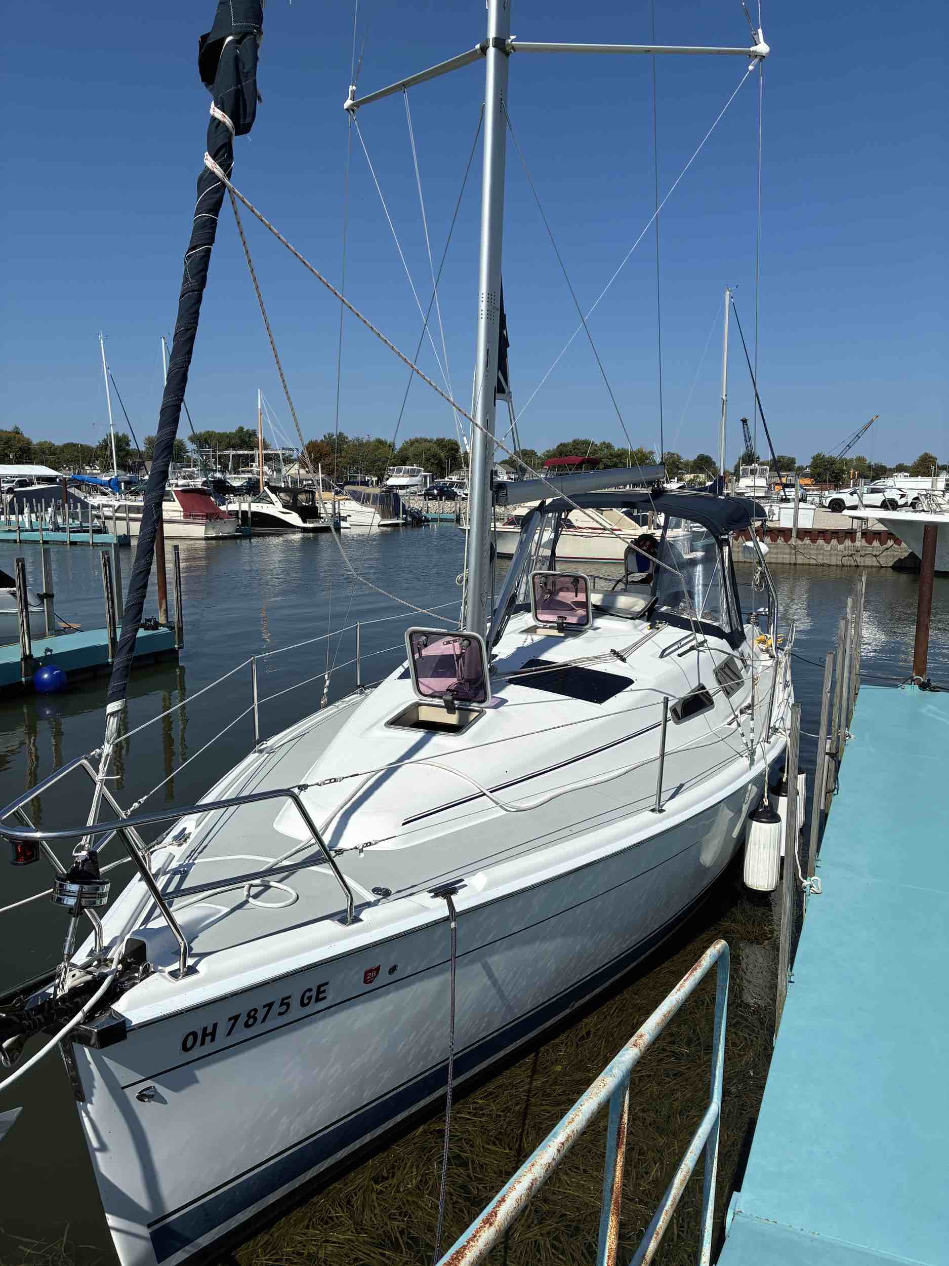 Hunter 33