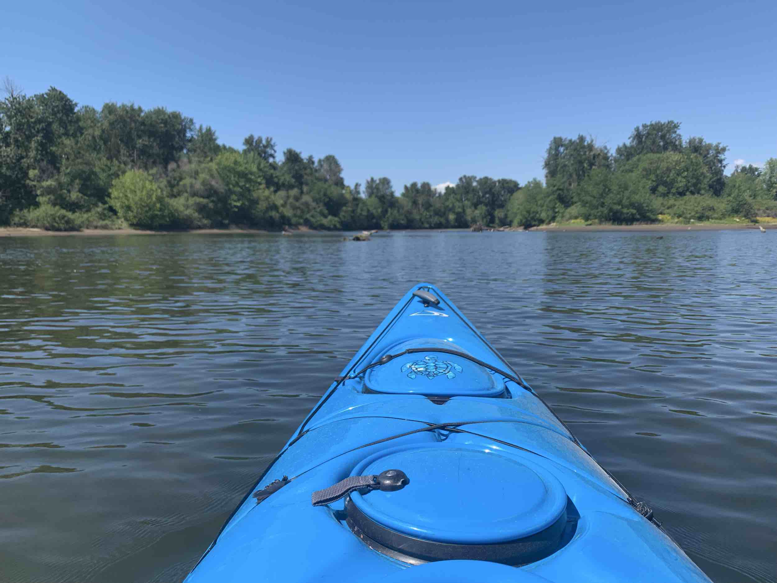 Water bug (kayak)