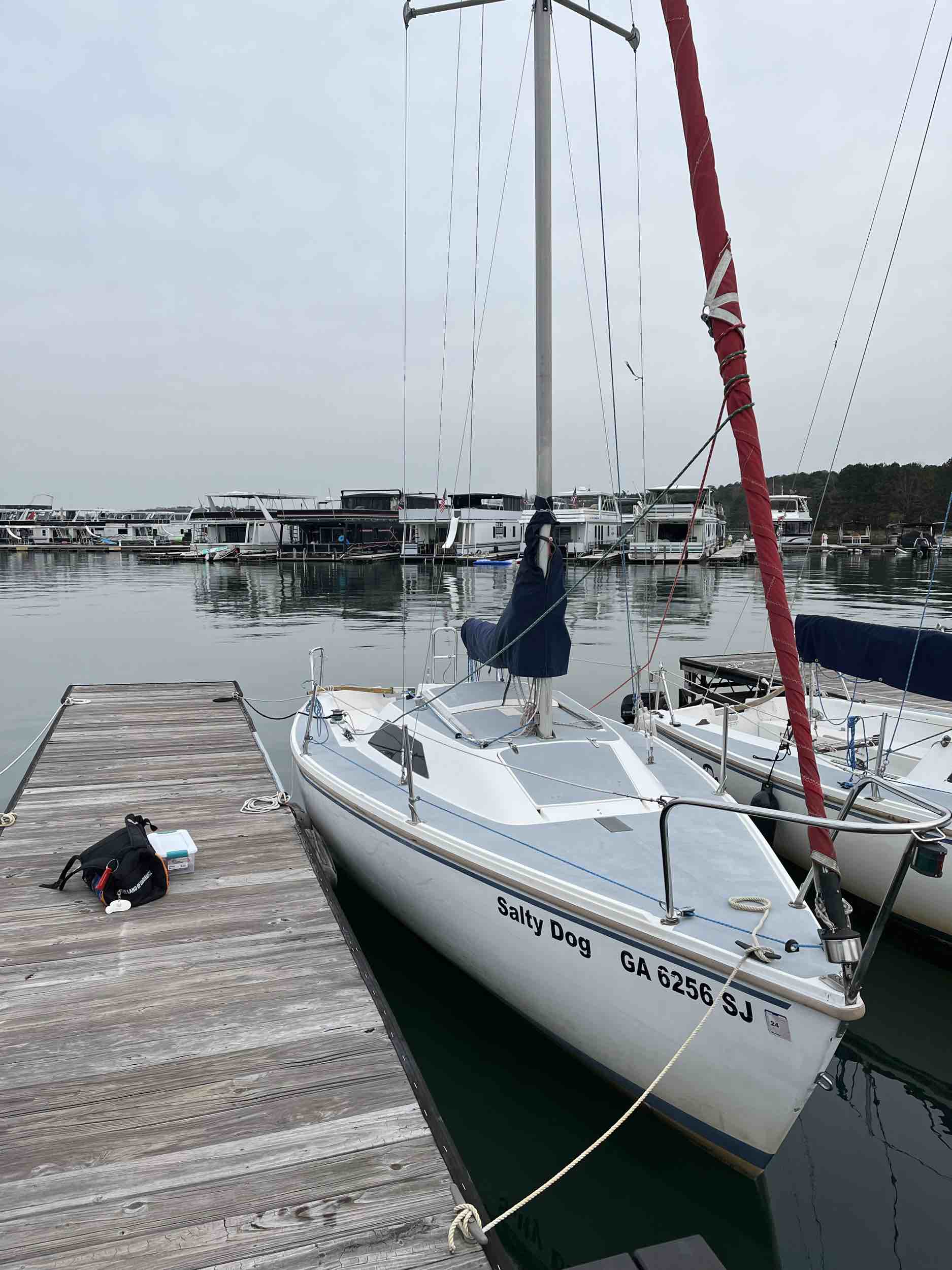 Salty Dog