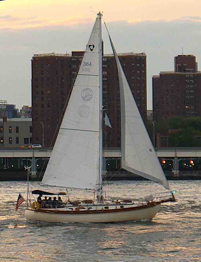 Tayana 37 