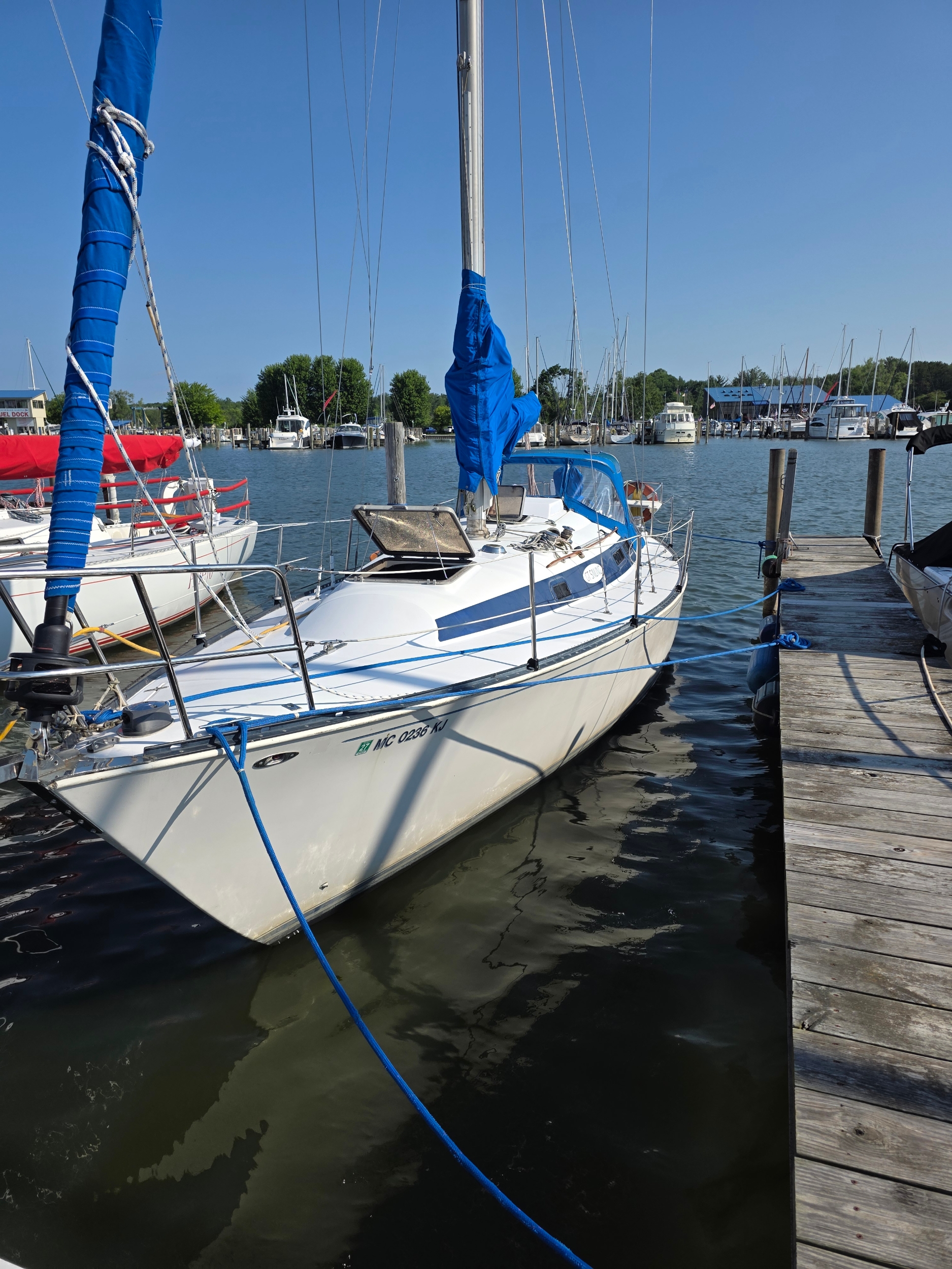 C & C 35