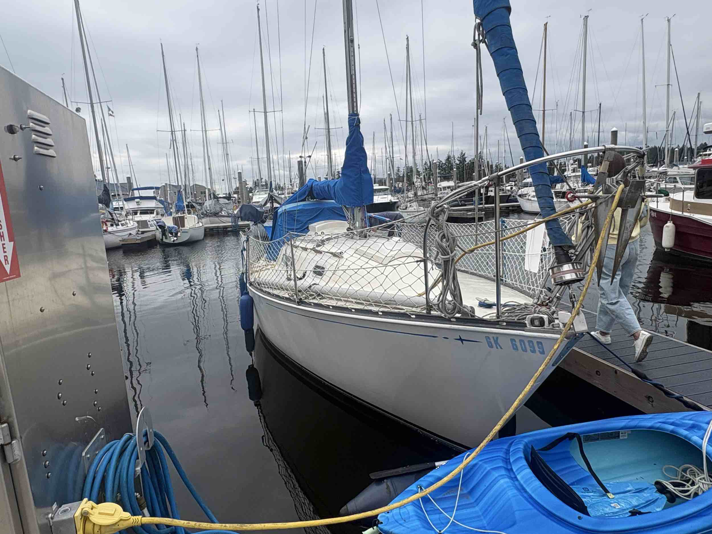 SV Diana
