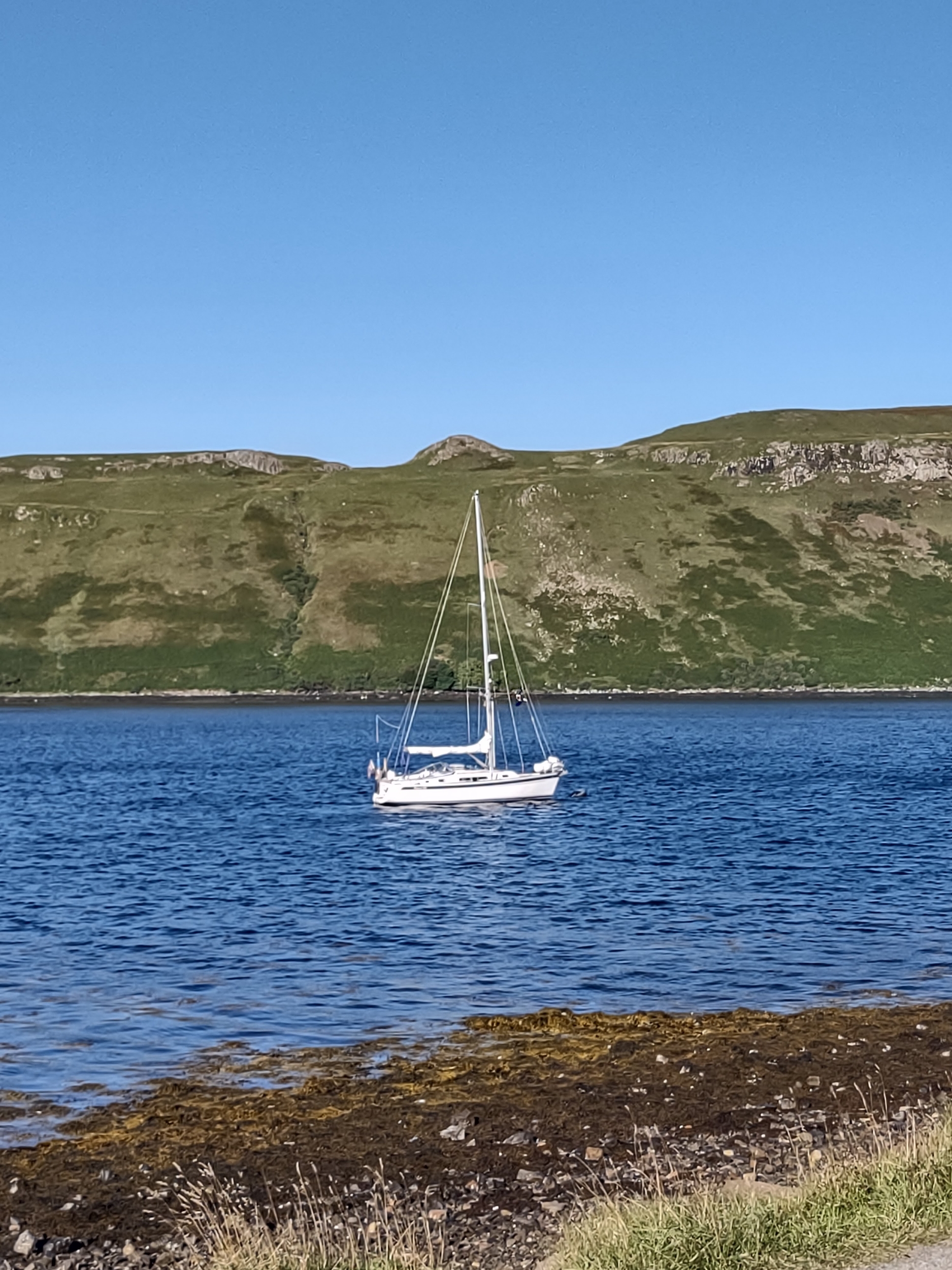 Petrel 
