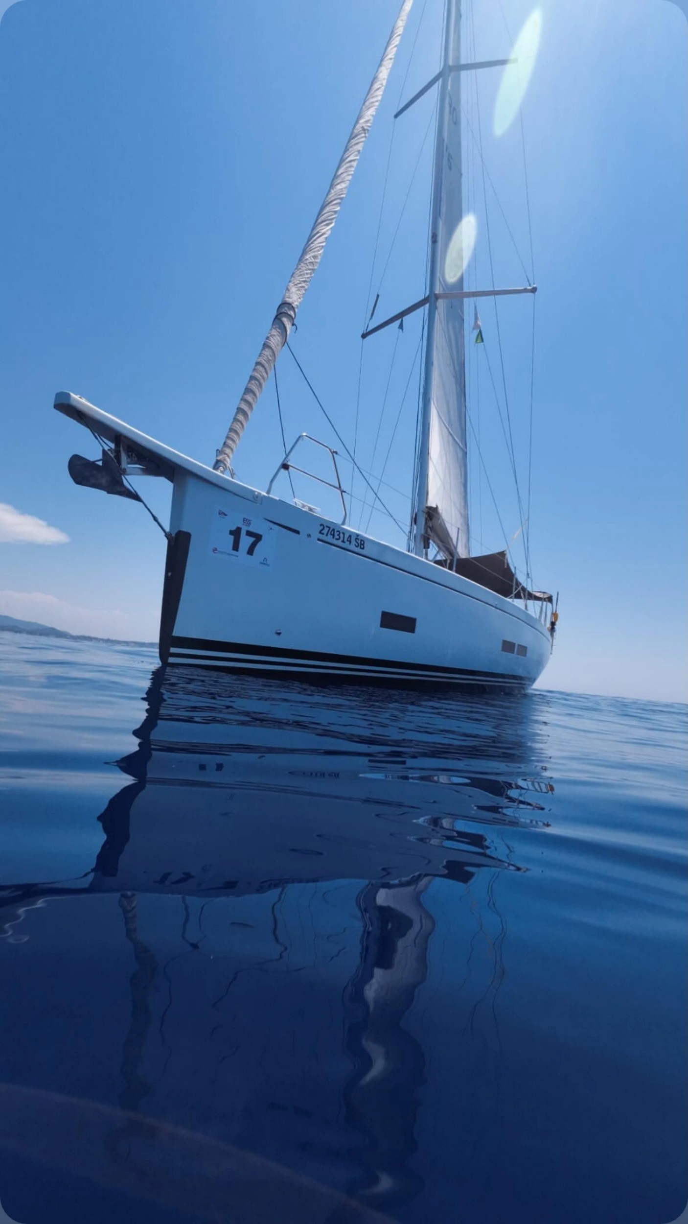 sportski vuk 44