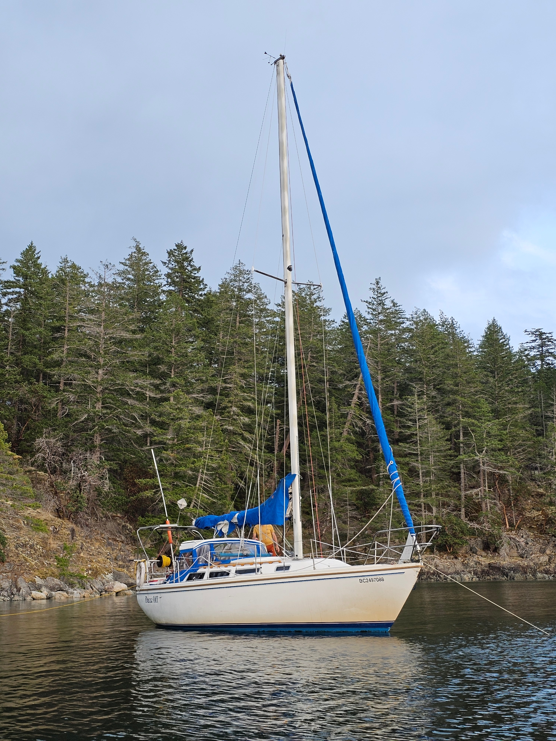 Sea Harmony