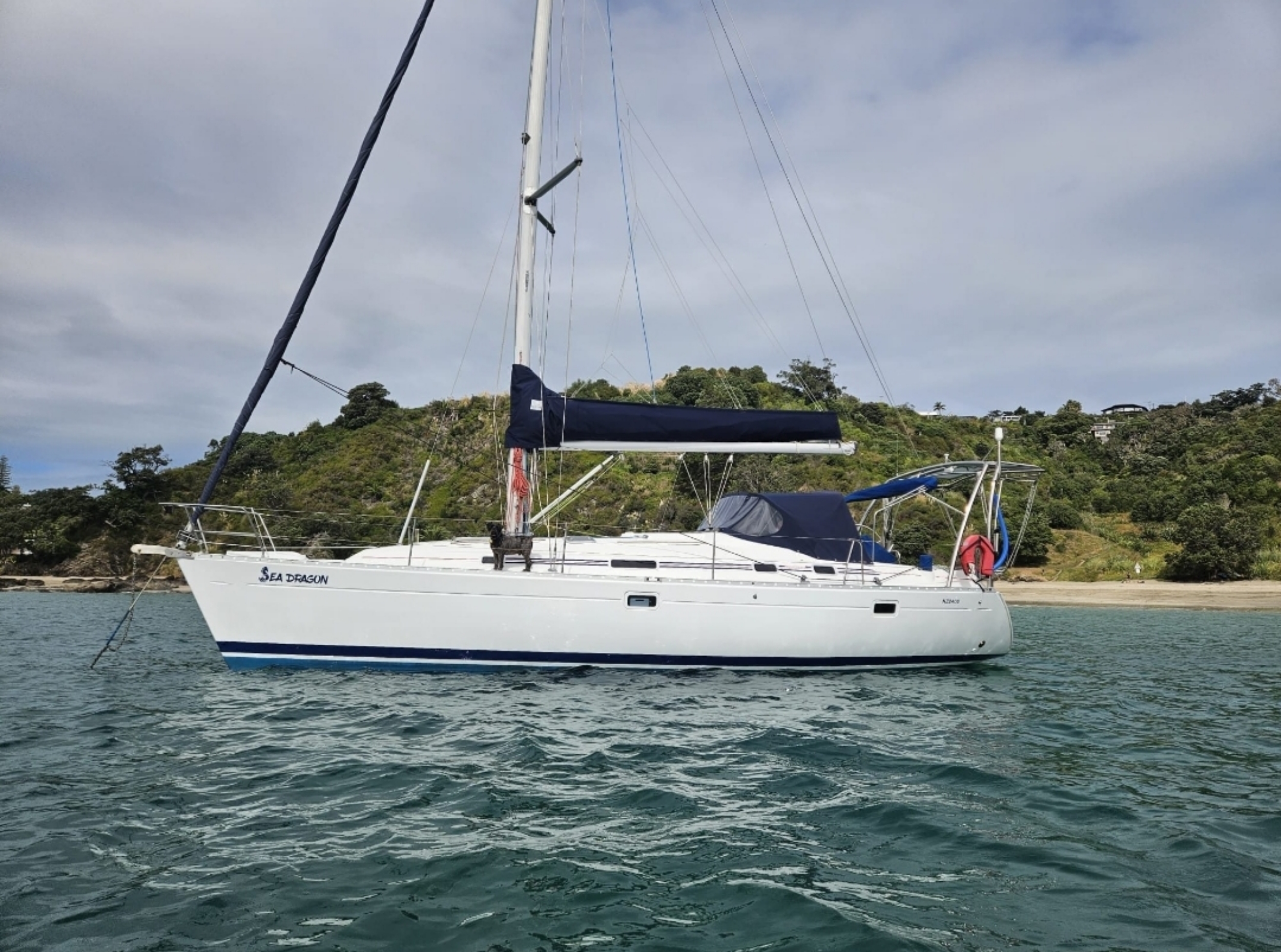 Sea Dragon
