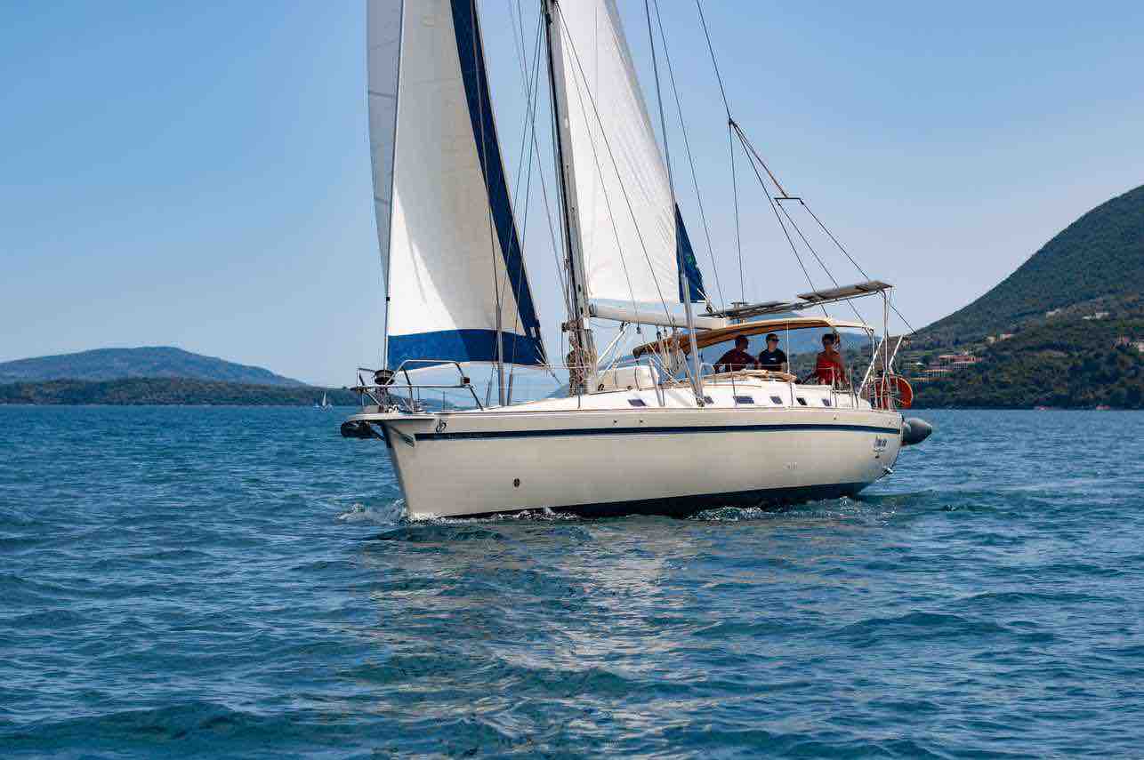 Blue marlin