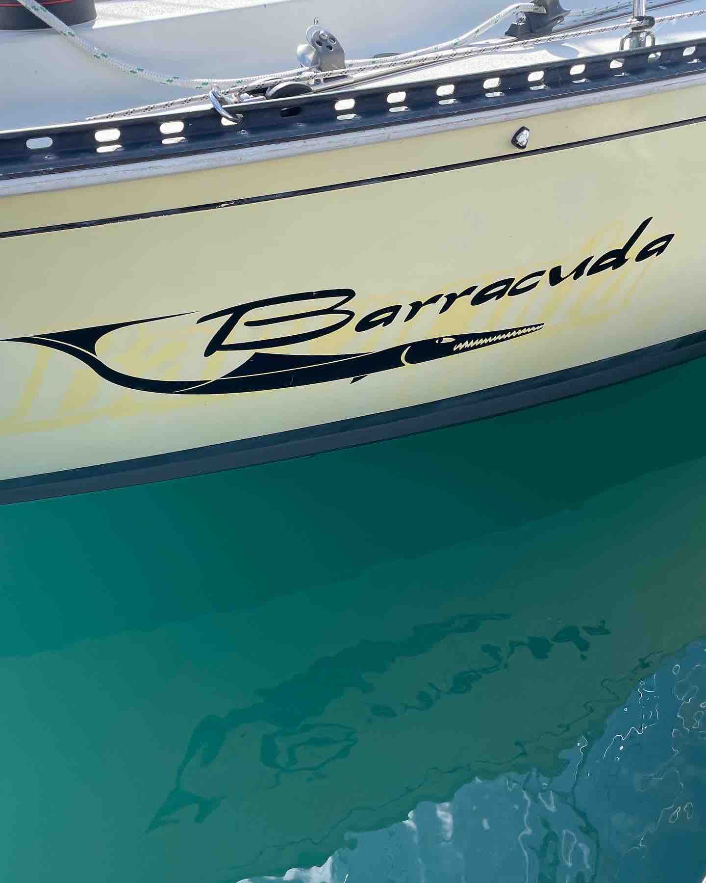Barracuda
