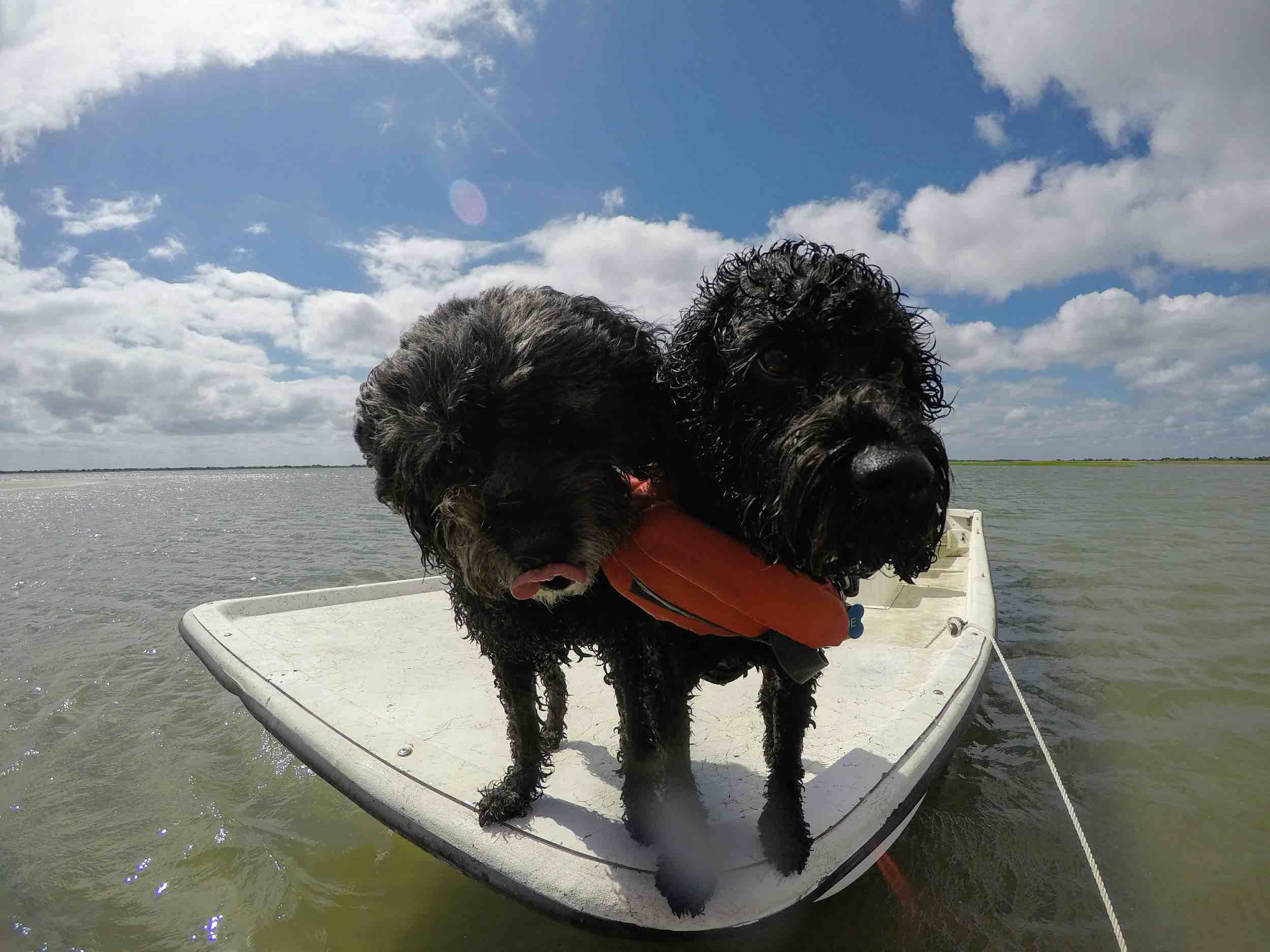 Carolina Skiff 21