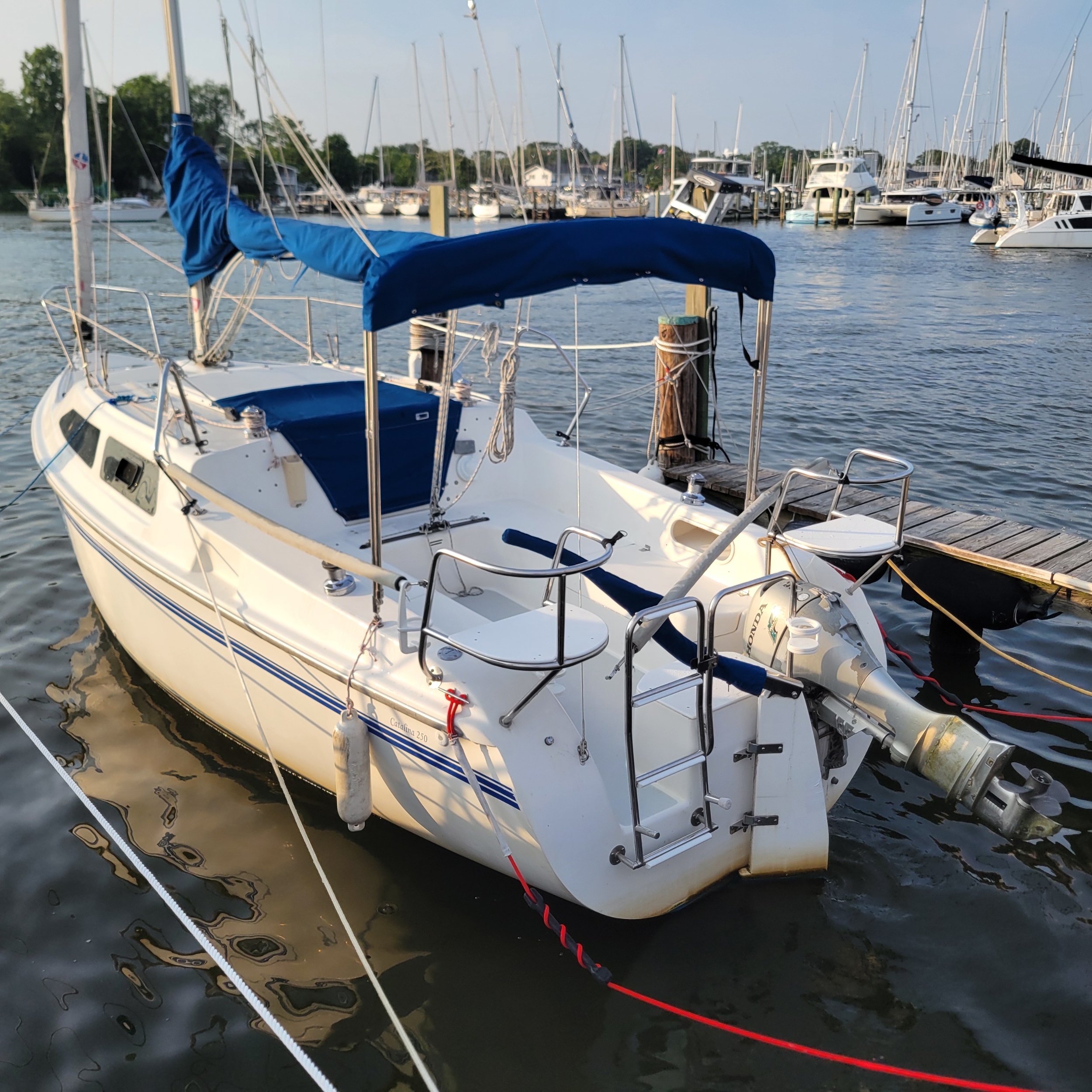 Calypso