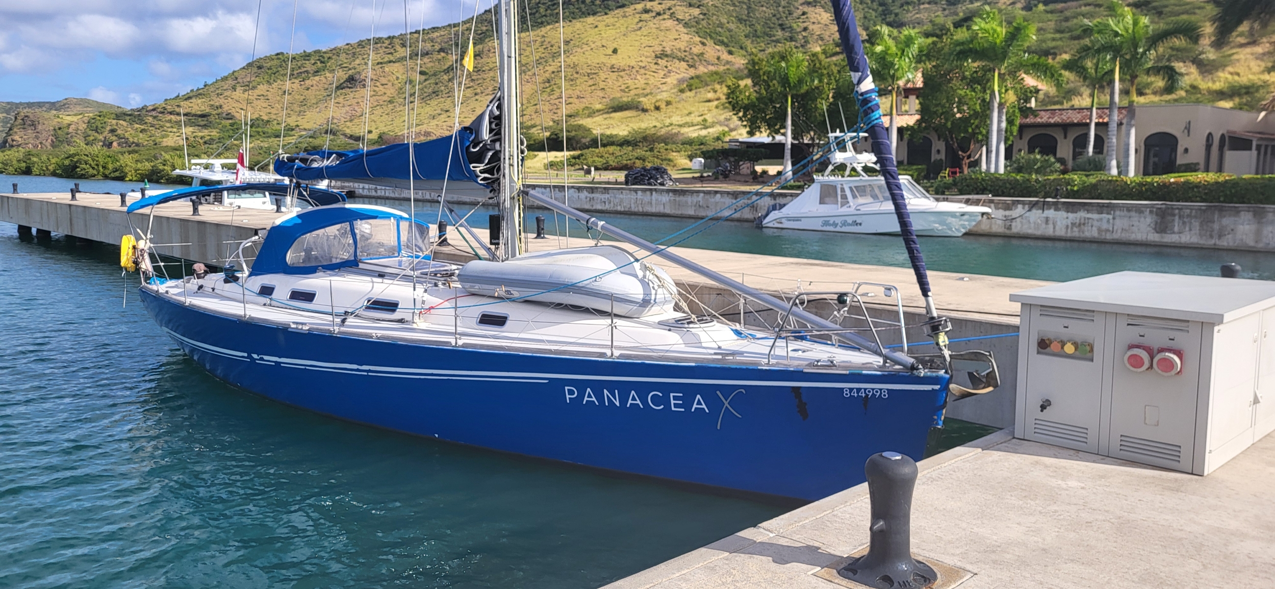 Panacea